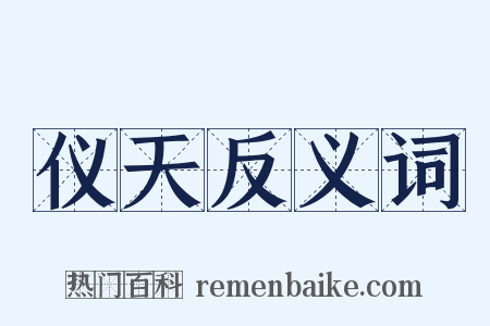 仪天反义词是什么意思的图片